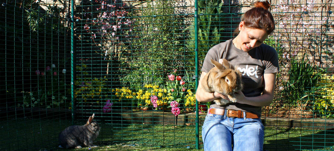 Una donna che tiene un coniglio in un recinto per conigli