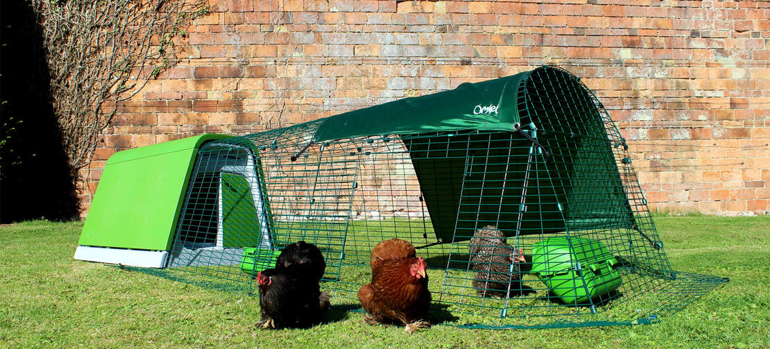 La porta del Eglu Go chicken run può essere posizionata per adattarsi alla disposizione del tuo cortile. apri la porta per permettere alle tue galline di spaziare liberamente.