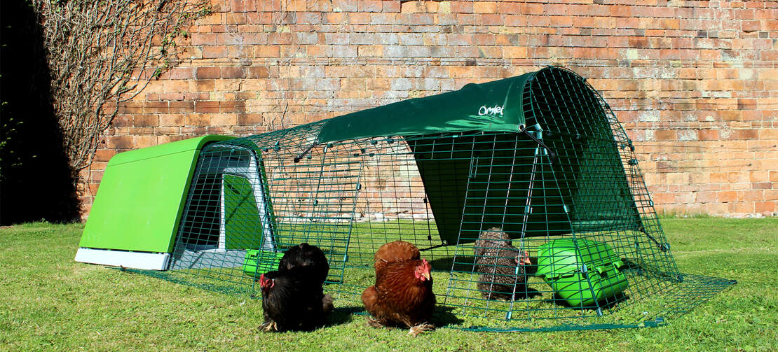 La porta del Eglu Go chicken run può essere posizionata per adattarsi alla disposizione del tuo cortile. apri la porta per permettere alle tue galline di spaziare liberamente. La porta del Eglu Go chicken run può essere posizionata per adattarsi alla disposizione del tuo cortile. apri la porta per permettere alle tue galline di spaziare liberamente.