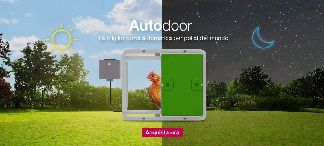 Autodoor rinfrescare i banner