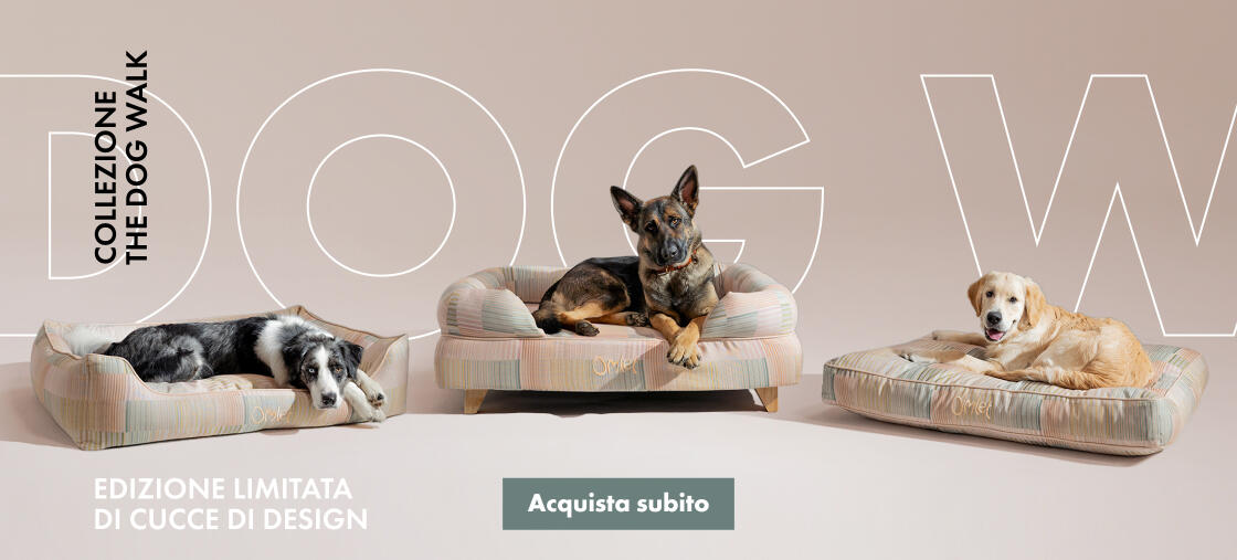 Collezione la passeggiata del cane