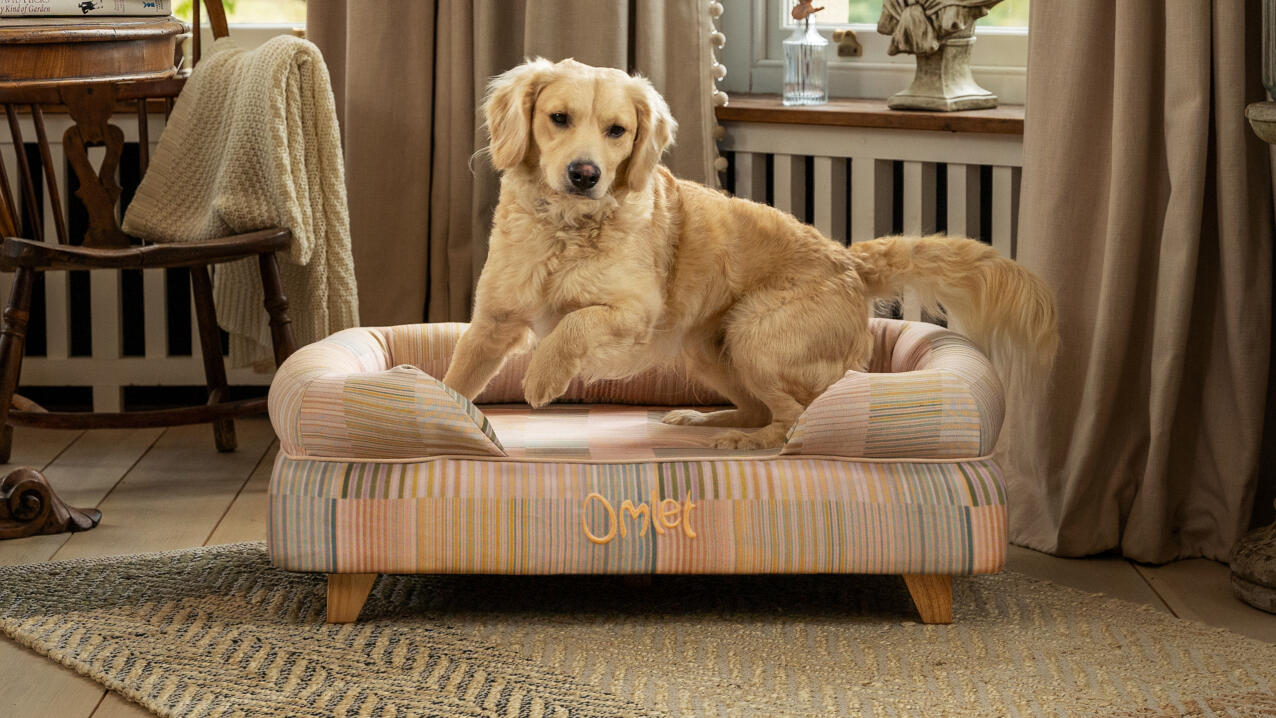 Cane labrador che salta dalla cuccia a bolster rialzata in stampa naturale a zampette con piedi quadrati in legno.