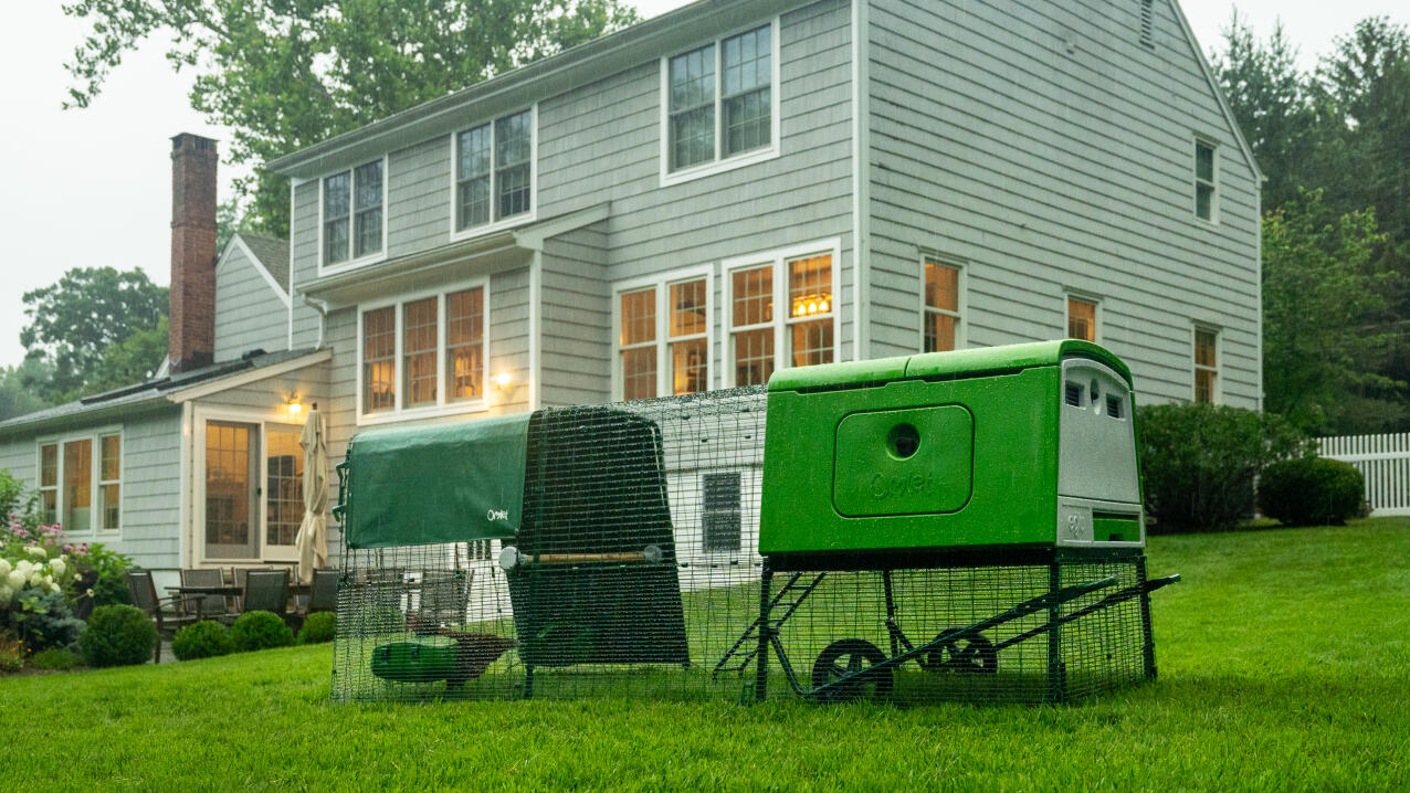 Eglu Cube pollaio e cortile in un giardino di fronte a una grande casa