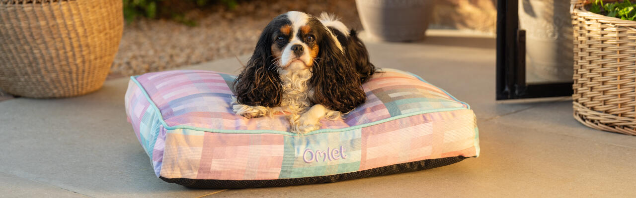 Spaniel seduto su un piccolo cuscino per cani con stampa caleidoscopio prisma - parte della collezione gardenia di Omlet.