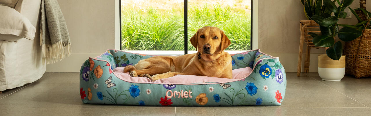 Labrador retriever su letto per cani large nest con stampa gardenia sage.