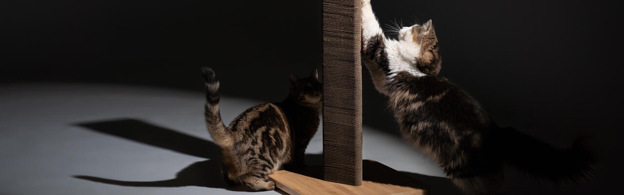 Alto Stak graffiatoio per gatti in cartone sostenibile