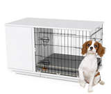 Kennel Fido Studio