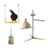 Giocattoli e accessori per galline