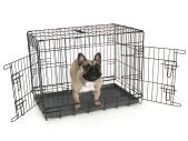 Fido Classic 30 cassa per cani con cane