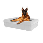 Cane seduto su pietra grigio grande memoria schiuma bolster letto per cani