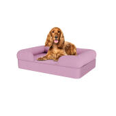 Cane seduto su lavanda lilla medio memory foam bolster letto per cani