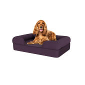Cane seduto su medio prugna viola memoria schiuma bolster letto per cani