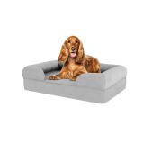 Cane seduto su medio pietra grigio memoria schiuma bolster letto per cani