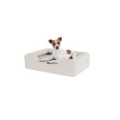 Cane seduto su piccola meringa bianca memory foam bolster letto per cani