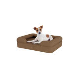 Cane seduto su piccolo moka marrone memoria schiuma bolster letto per cani