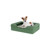 Cane seduto su piccolo verde salvia memoria schiuma bolster letto per cani