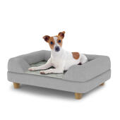 Cane seduto su un piccolo Topology letto per cani con bolster topper grigio e piedi rotondi in legno