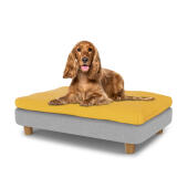 Cane di piccola taglia seduto su letto per cani medio Topology con topper a sacco di fagioli e piedi rotondi in legno
