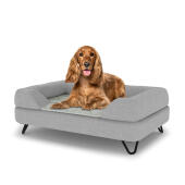 Cane seduto su un letto medio Topology cane con topper bolster grigio e piedi di metallo nero tornante