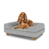 Cane seduto su un letto medio per cani Topology con topper grigio e piedi rotondi in legno
