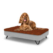 Cane seduto su un medio Topology letto per cani con topper in microfibra e piedini in metallo nero