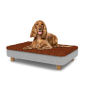 Cane seduto su un letto medio per cani Topology con topper in microfibra e piedi rotondi in legno