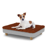 Cane seduto su un piccolo Topology letto per cani con topper in microfibra e piedi rotondi in legno