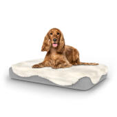Cane seduto su letto medio per cani Topology con topper in pelle di pecora