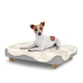 Cane seduto su un piccolo Topology letto per cani con topper in pelle di pecora e piedi rotondi in legno