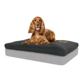 Il beanbag topper fornirà un comfort imbattibile per il vostro cane.