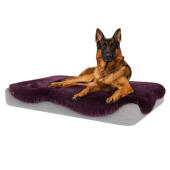 Cane seduto su grande Topology letto per cani con topper in pelle di pecora viola damson