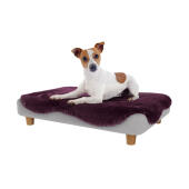 Cane che riposa nel Omlet Topology letto per cani con topper in morbida pelle di pecora viola e piedi rotondi in legno
