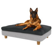 Shepperd tedesco nel grande Topology letto del cane