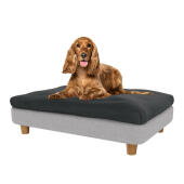 Cocker nel letto per cani medio Topology 