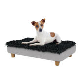 Jack russell nel piccolo letto per cani Topology 