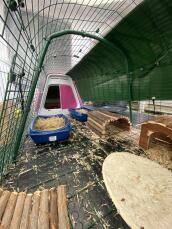 All'interno di un recinto per conigli collegato a una conigliera, con pannelli di rete a terra