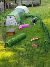 Un setup per conigli in un giardino con un verde Go e una corsa