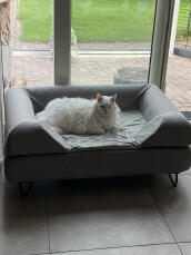 Un soffice gatto bianco che si Gode il suo grande letto grigio con cuscino