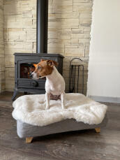 Cane seduto su Omlet Topology letto per cani con topper in pelle di pecora e piedi quadrati in legno