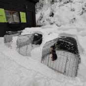 Tre Omlet Eglu Go conigliere in giardino coperte di Snow