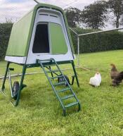 Una coop verde in piedi all'interno di una pista, in un giardino