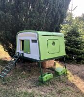 Una coop verde senza corsa installata in un giardino