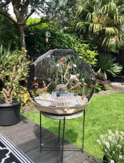 Geo gabbia per uccelli con gabbia nera e base crema in giardino