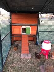 15 minuti di installazione - la migliore porta automatica per pollaio di sempre!