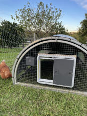 Porta automatica per polli
