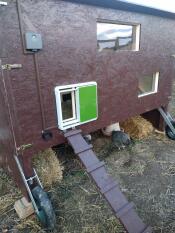 Coop di legno con Omlet porta del pollaio automatico verde