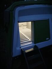 Omlet porta pollaio automatico verde con luce coop on