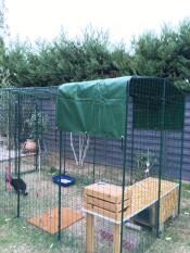 Omlet catio in giardino