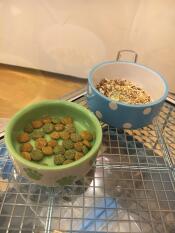 Cibo per gerbilli