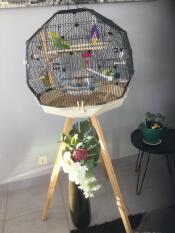 Un uccello verde nella sua gabbia rotonda su un supporto